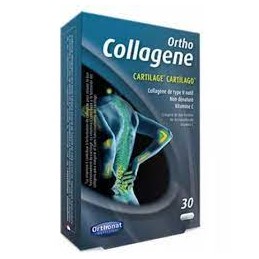 Ortho collagene